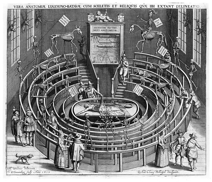 Anatomical  theatre, Leiden
