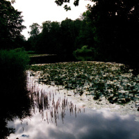 Ordrup Bog