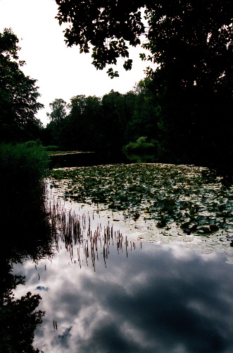 Ordrup Bog