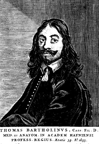 Thomas Bartholin