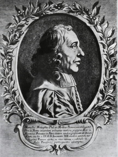 Marcello Malphigi