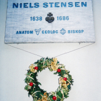 Plaque, Klareboderne