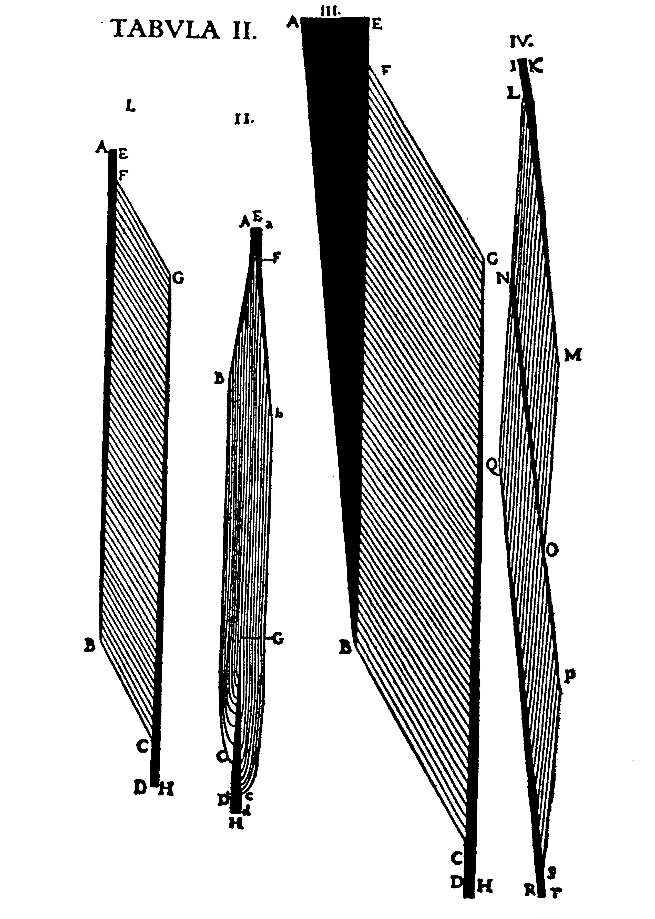 Muscles, 2